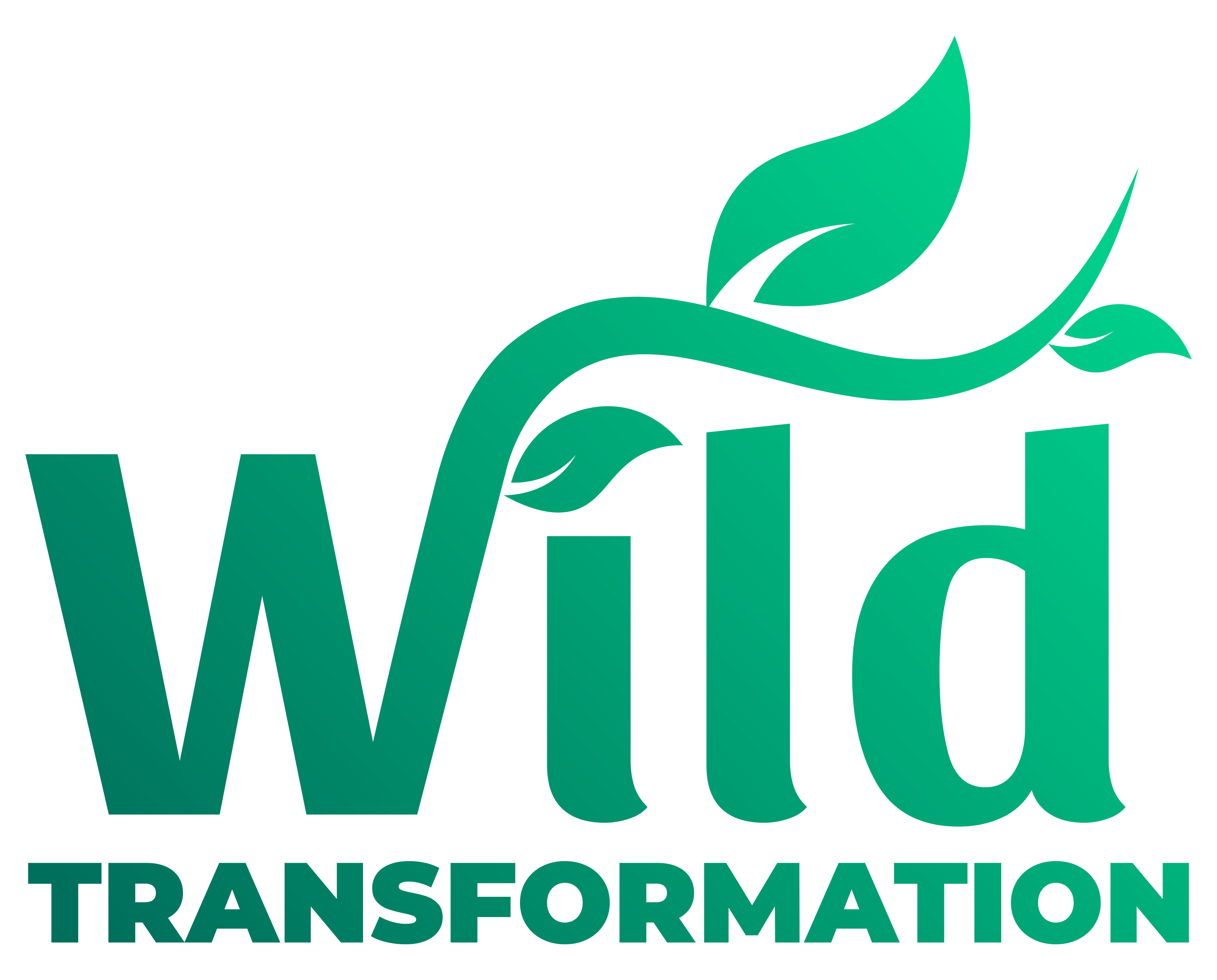 Wild Transformation